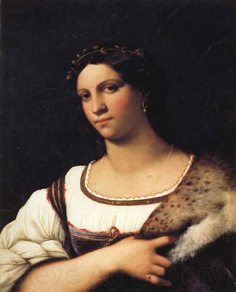 Sebastiano del Piombo La Fornarina Norge oil painting art